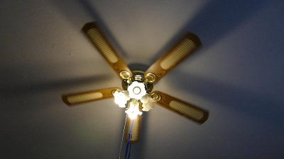 P246029716-18-03.JPG