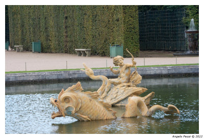 pbase-Versailles-0117.jpg