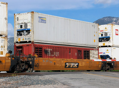 K Line Reefer Genset Containers
