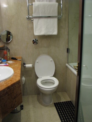 0303 nice bathroom but high into bath for shower