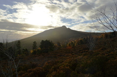 Sunday morning up Bennachie