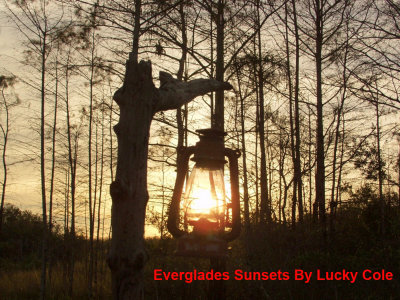 Everglade Sunsets 366.jpg