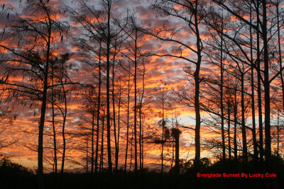 Everglade Sunset 081.jpg