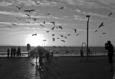 Henley Square