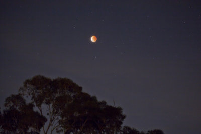 Blood Moon