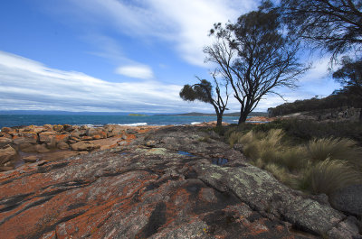 Freycinet