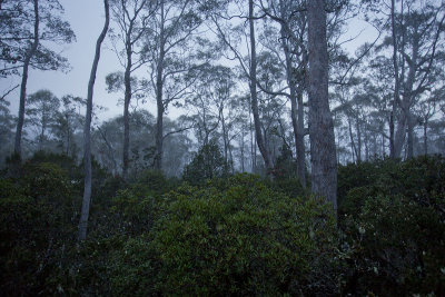 Cradle Mountain