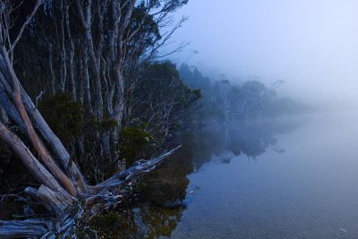 Dove Lake
