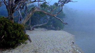 Dove Lake