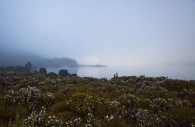 Dove Lake