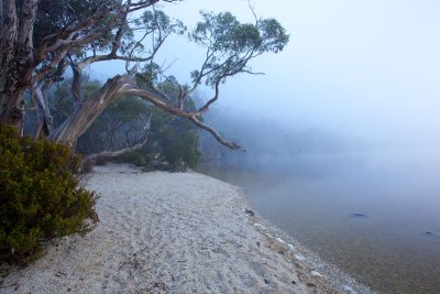 Dove Lake