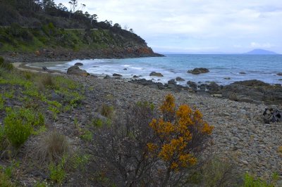 North East Coast