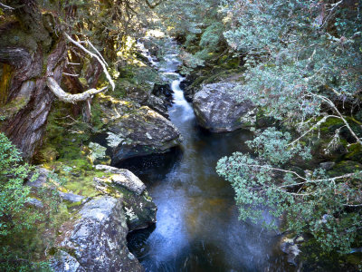 P1040186cs.jpg