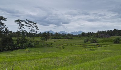 S0019390 copy.jpg