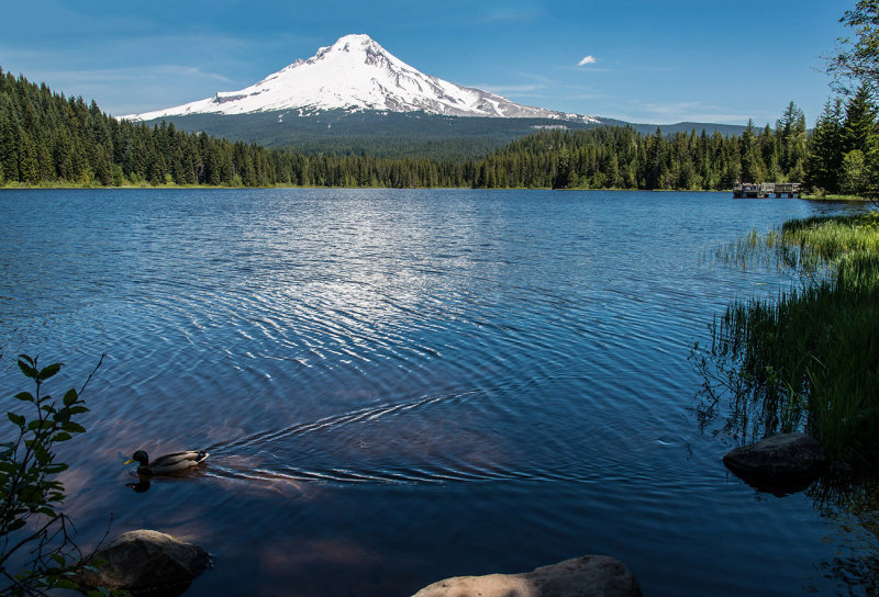 Terillium lake