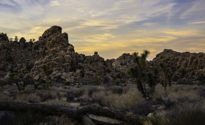 Hidden Valley