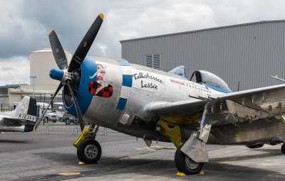 g9/44/826444/3/156129234.A574UglU.jpg