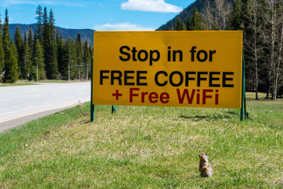 Free Coffee For Me