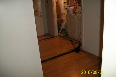BackHall_20160825_2.jpg