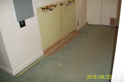 BeforeBackHall_Carpet.jpg