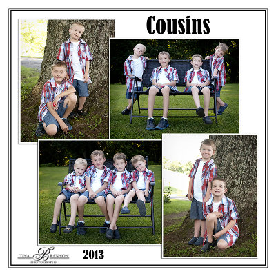 cousins 12x12.jpg