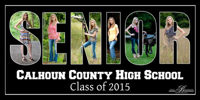 brandi_senior_2015