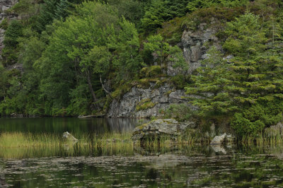 fjell-11.jpg