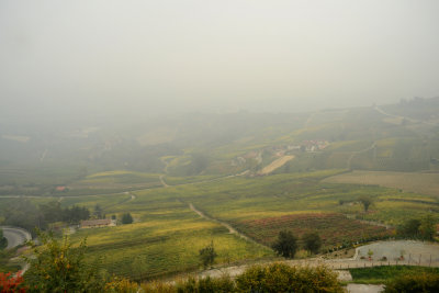 Il sentiero del vino 1