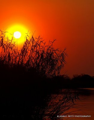 Chobe Sunset final _MG_2462.jpg
