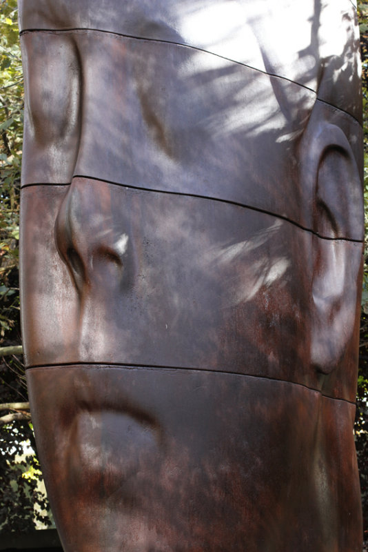 Jaume Plensas Sculpture, Millennium Park