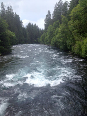 McKenzie River