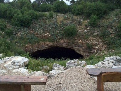 Bracken Cave Preserve