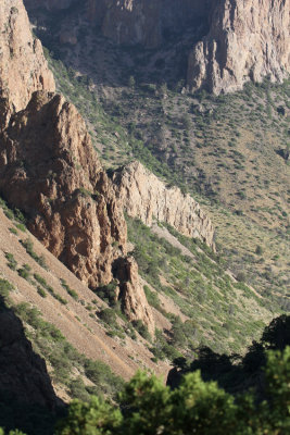 View from Lost Mine Trail