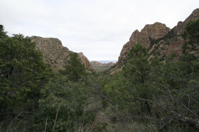 From Lost Mine Trail