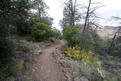 Lost Mine Trail, Big Bend  