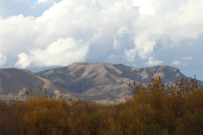 San Juan Mtns.Bosque del Apache