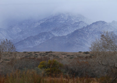 Snow on Mtns at Bernardo Waterfowl Management Area, NM