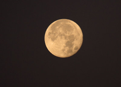 Moon just before Sunrise on Christmas Day