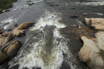 Macal River from Bridge