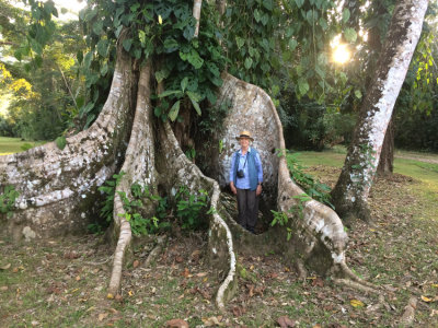 Grounds at Bocawina