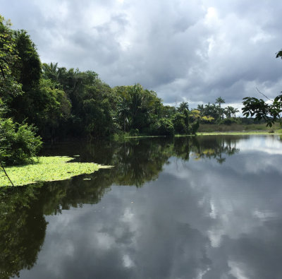 Lake at Altun Ha