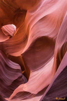 Upper and Lower Antelope (Slot)Canyons, Page AZ