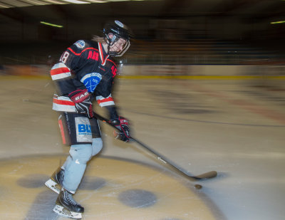 ishockey_nordenberg_2014