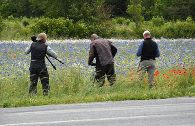 Fotokurs Öland juni 2014.jpg