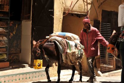 Fez / Medina