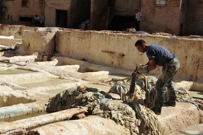 Fez / Tanneries