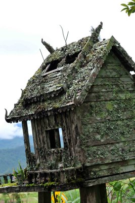 Thailand - Spirit Houses