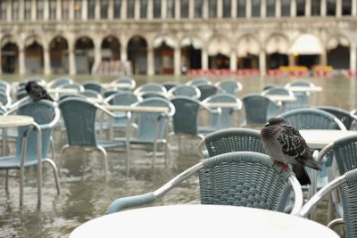 Piazza San Marco