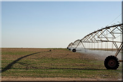 Irkayya Farm