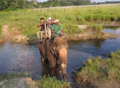 My Elephant Ride